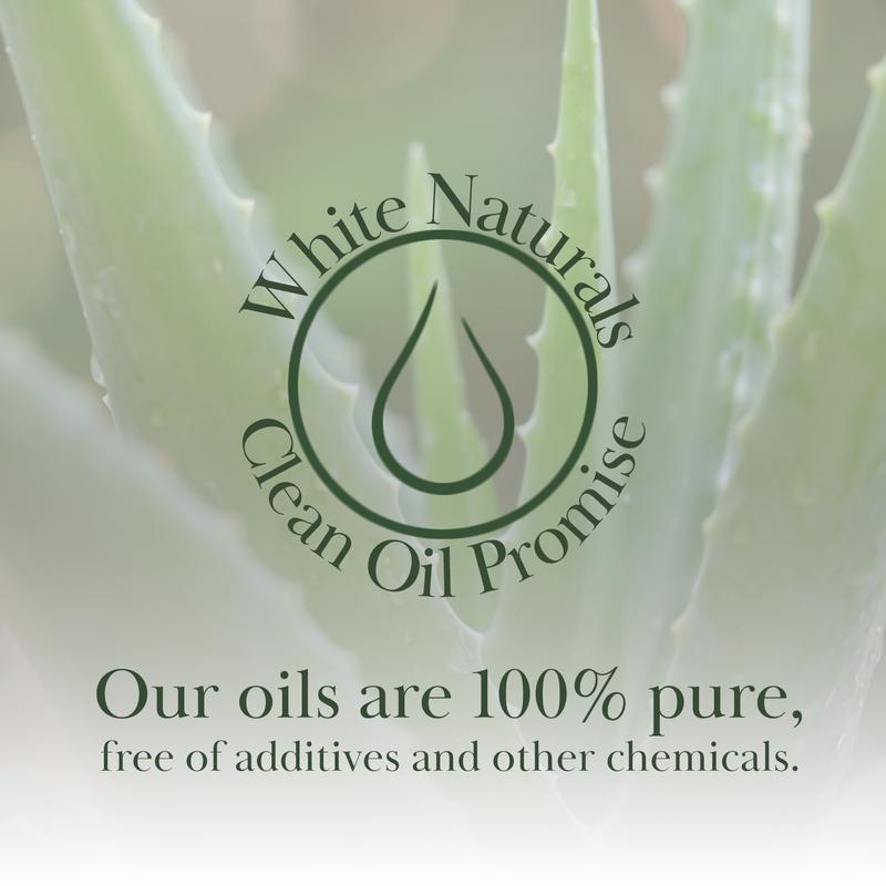 Organic Aloe Vera Oil, Therapeutic Premium Oil, Moisturizing Cold Pressed 100% Pure Natural Aloe Barbadensis Care for Skin, Body, Hair Growth, Face Moisturizer, Baby Oils, Used for Massage, Bath, Skin Moisture, Body Care, Including Glass Dropper,